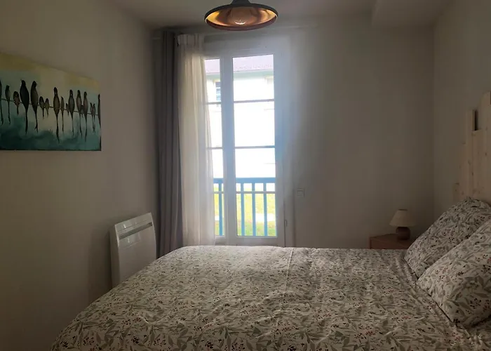 Grand Appartement En Rdc Vallee De Campan